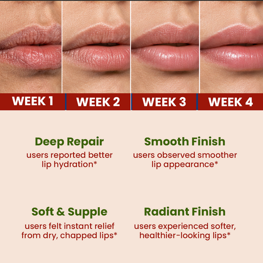 Heroganic Modern Ayurvedic Natural Lip Care